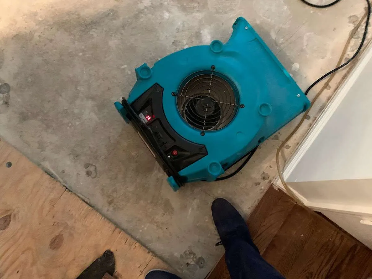Air mover drying subfloor during Commercial Water Damage Restoration in River Rouge
